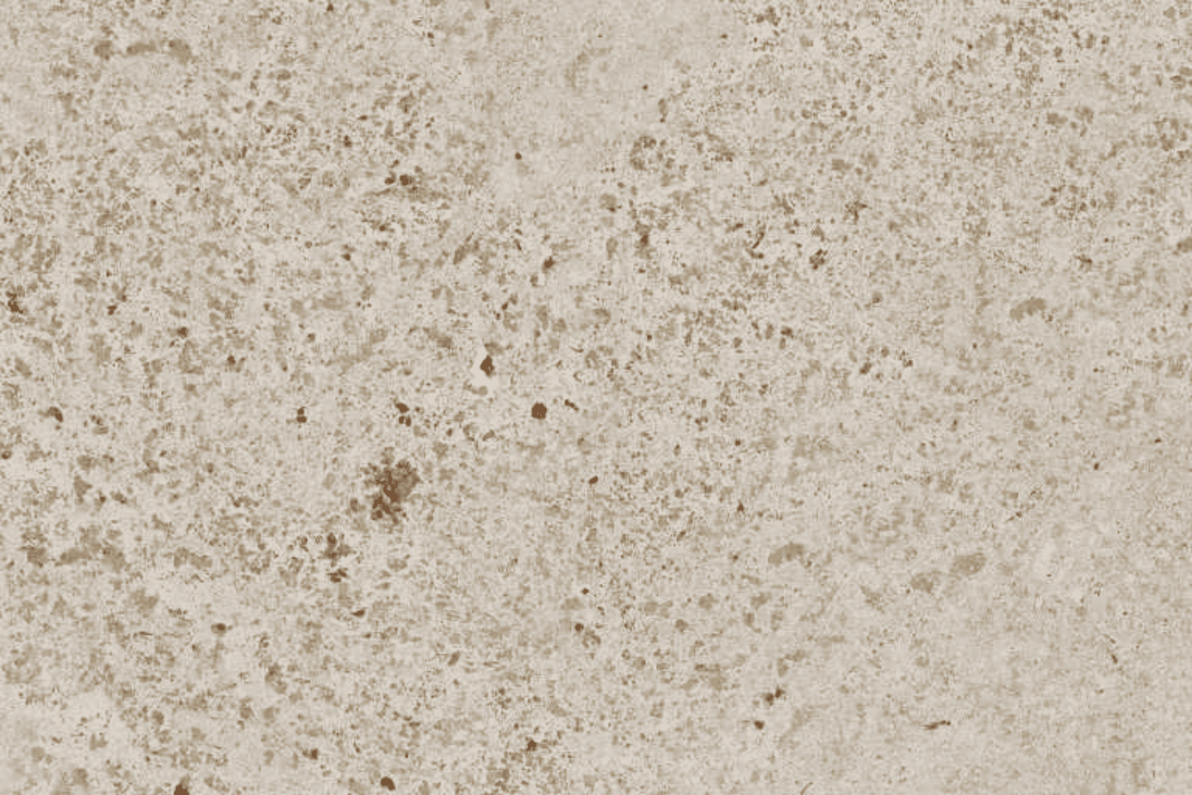 Beigegraue Sto-Natursteinfliese aus Kalkstein