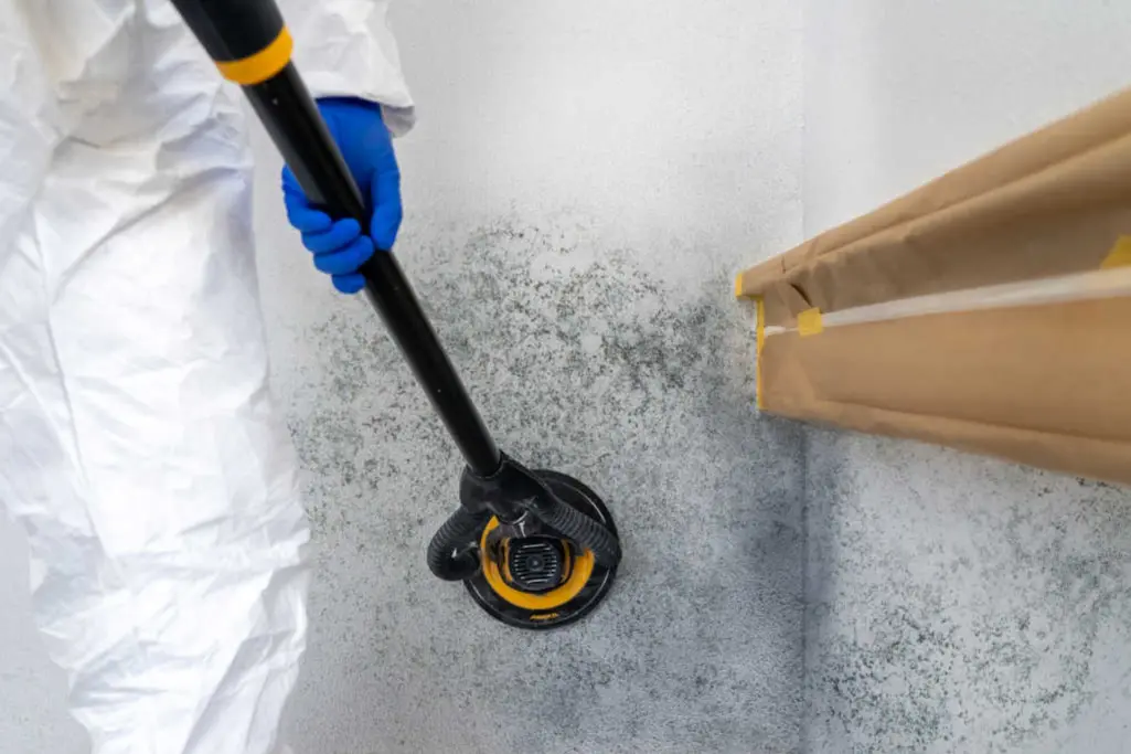 Schimmel entfernen Wand – professionelle Schimmelsanierung durch Fachhandwerker