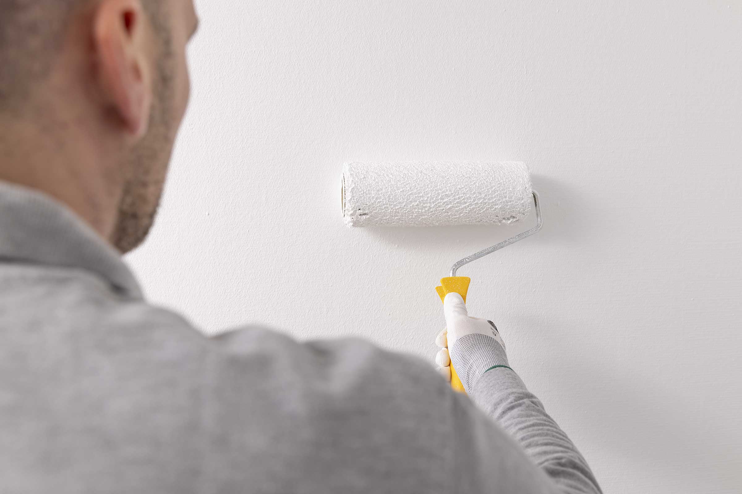 Mineralfarben für Innen vs Dispersionsfarben 