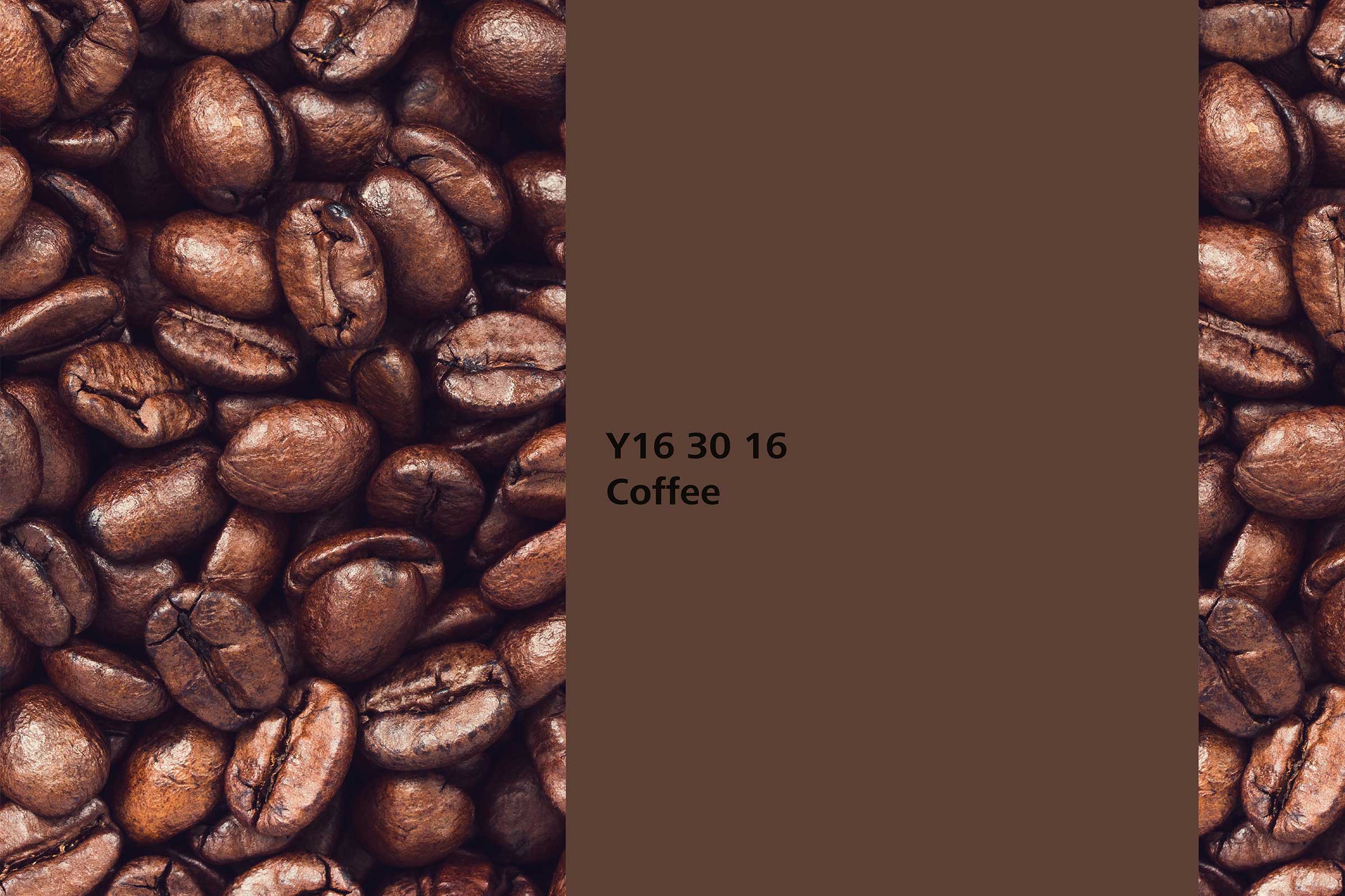 Wandfarbe im Naturfarbton Coffee der IC 24+, Kaffeebohnen im Hintergrund, Wandfarbe Coffee davor