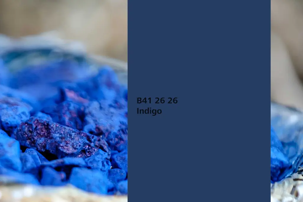 Farbton Indigo, Färberpflanze Indigopflanze,  Farbpalette Sto Wandfarben Interior Colors 24+