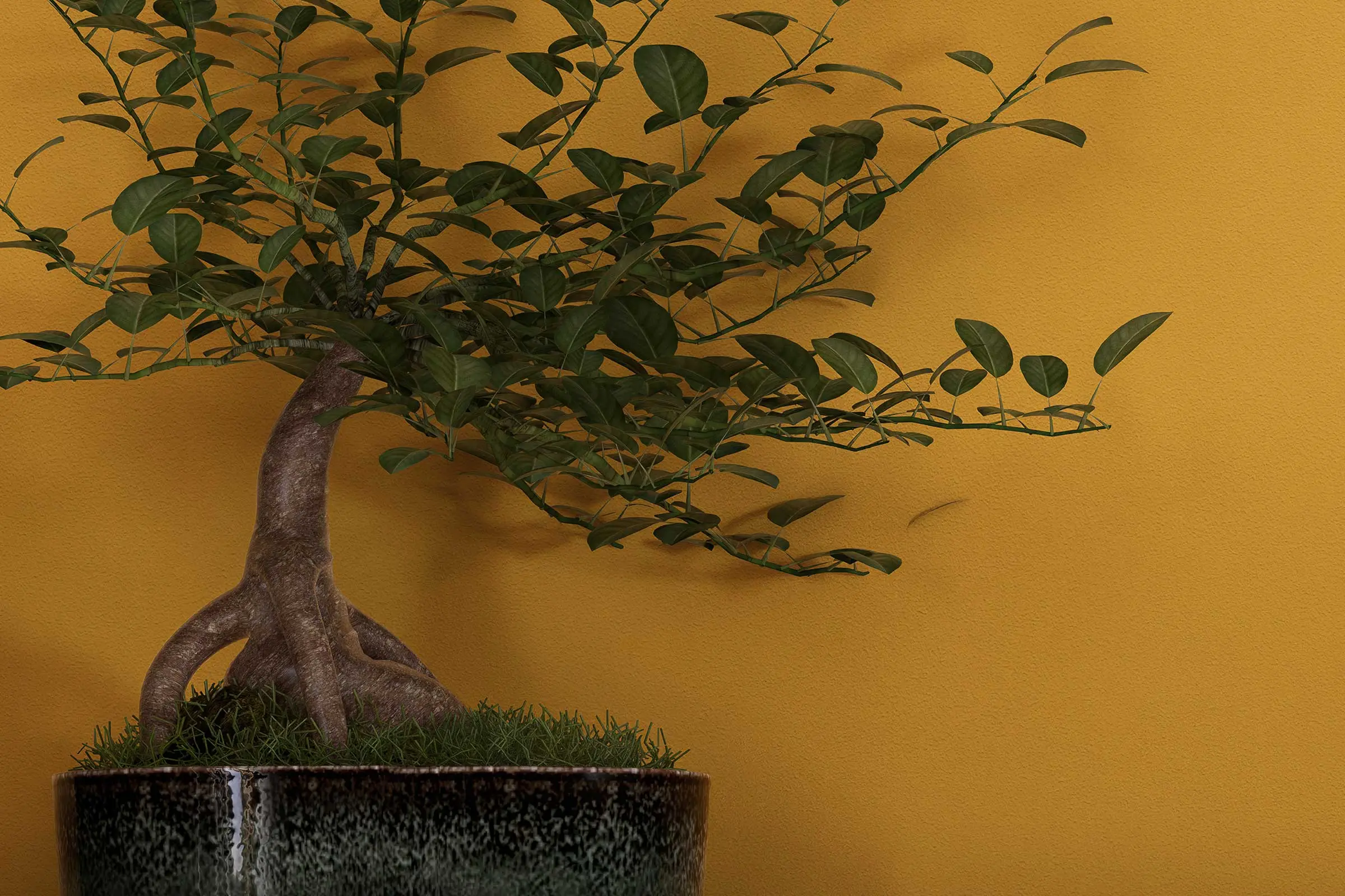 Wandgestaltung Esszimmer: Pflanze vor gelber Wand, gestaltet  Interior Colors 24+