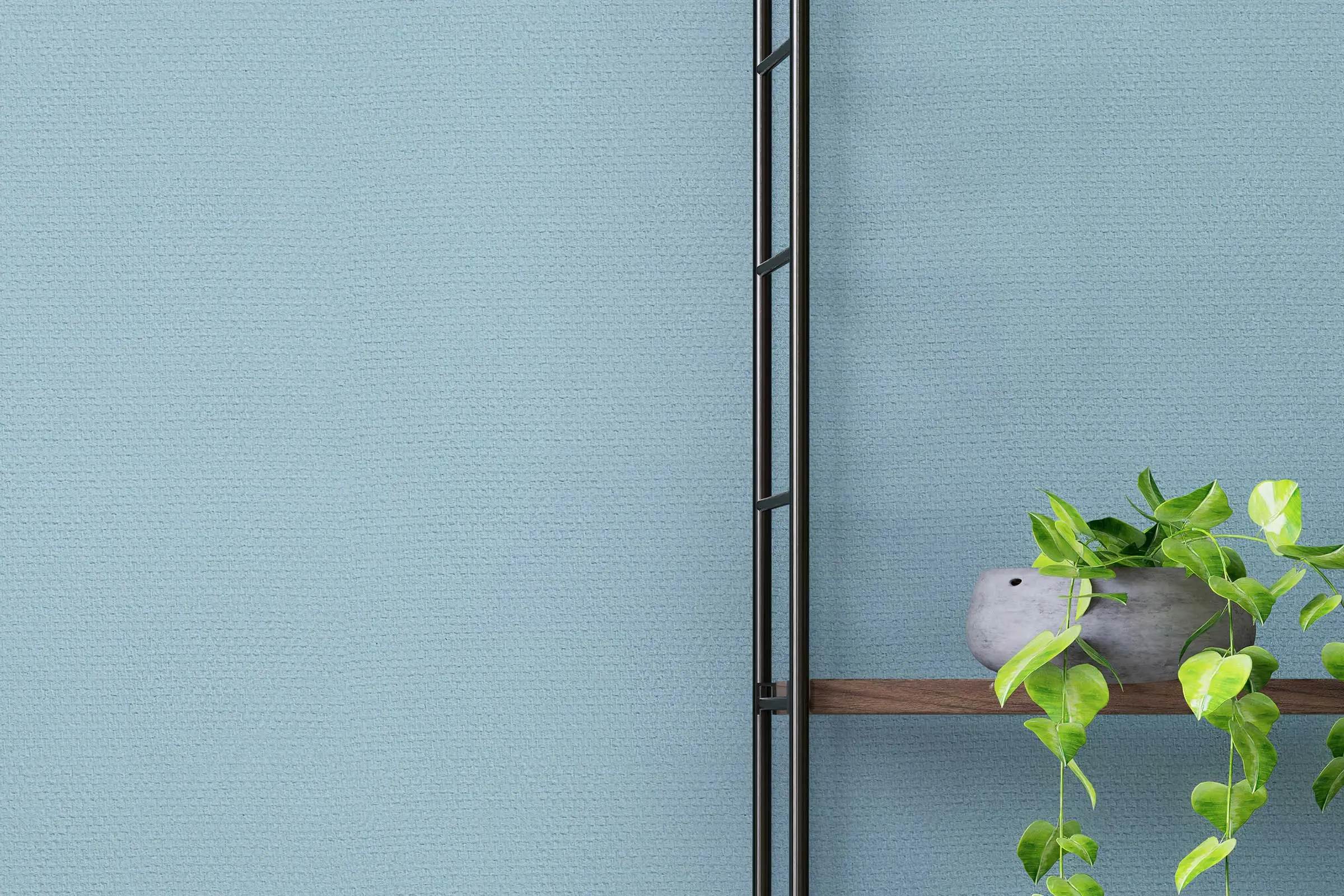 Wandgestaltung Wohnzimmer, Detail Wandregal mit Pflanze, Wand gestaltet Interior Colors 24+