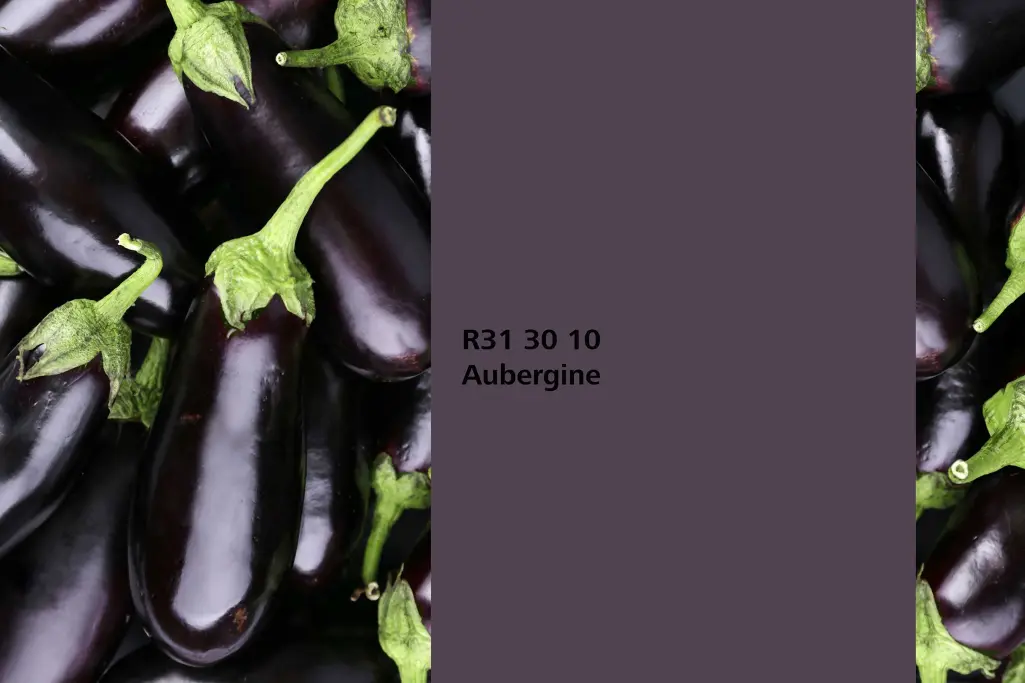 Farbton Aubergine, Assoziation Auberginefrüche,  Farbpalette Sto Wandfarben Interior Colors 24+