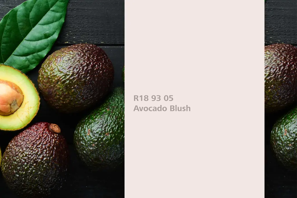 Farbton Avocado Blush, Färberpflanze Avocado (Persea americana), Sto Wandfarben