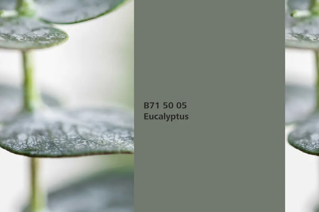 Farbton Eucalyptus, Assoziation Eukalyptusblätter (Eucalyptus), Farbpalette Sto Wandfarben