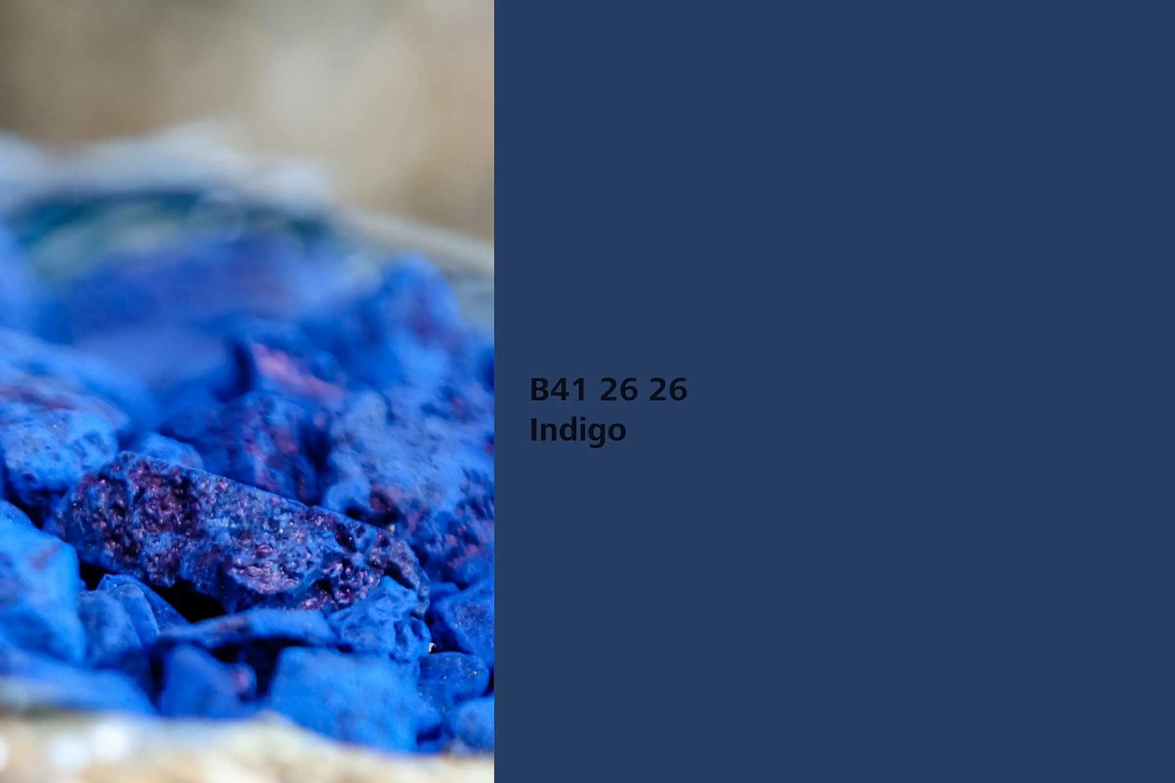 Interior Colors 24+: Farbton Indigo, Färberpflanze Indigopflanze