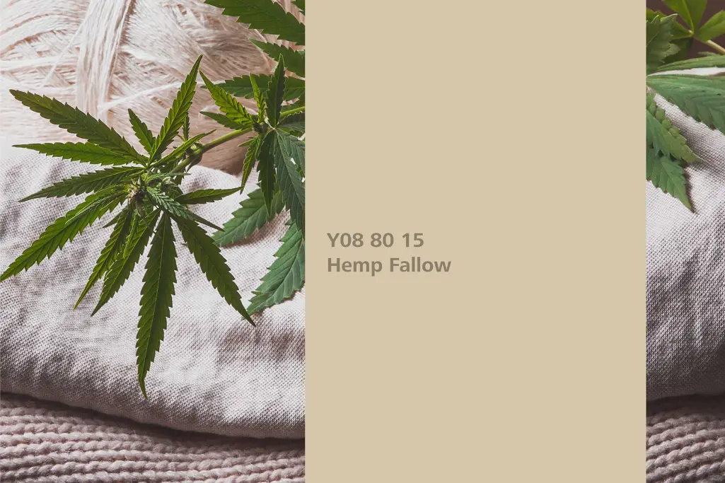 Farbton Hemp Fallow, Assoziation Hanf,  Farbpalette Sto Wandfarben Interior Colors 24+