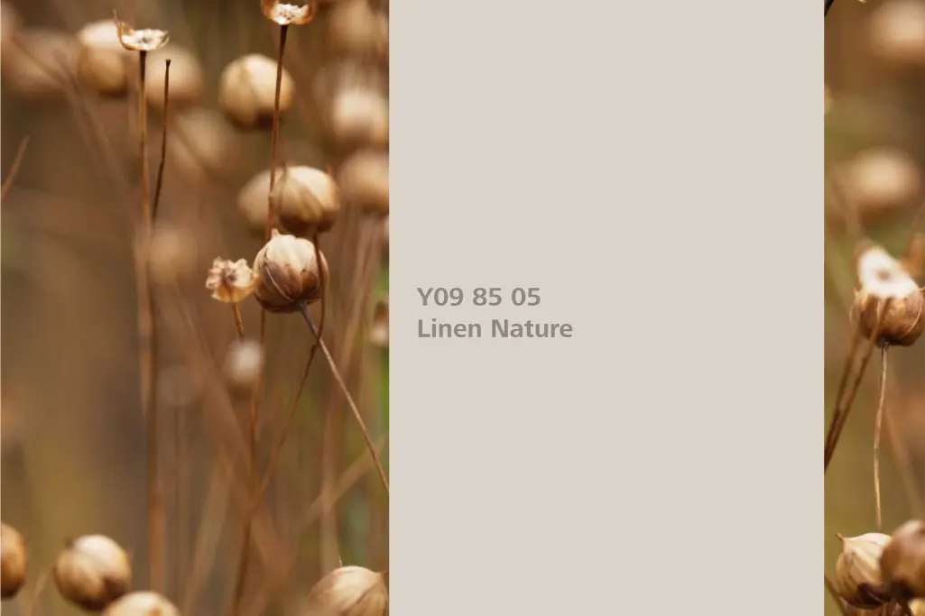 Farbton Linen Nature, Assoziation Flachs,  Farbpalette Sto Wandfarben Interior Colors 24+