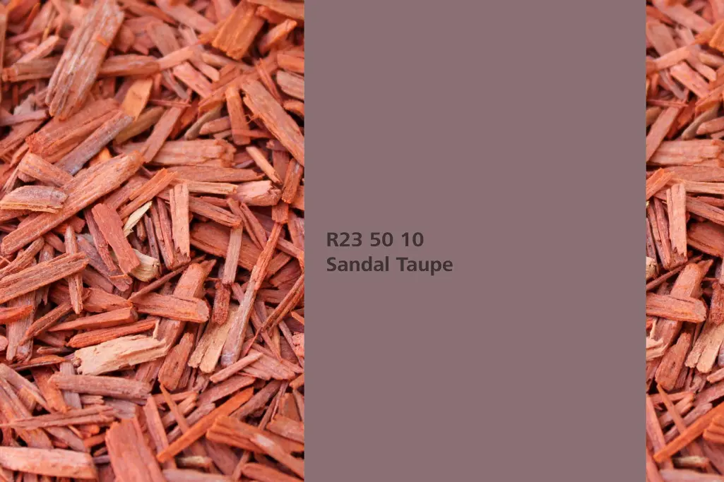 Farbton Sandal Taupe, Färberpflanze Sandelholz (Pterocarpus soyaux)