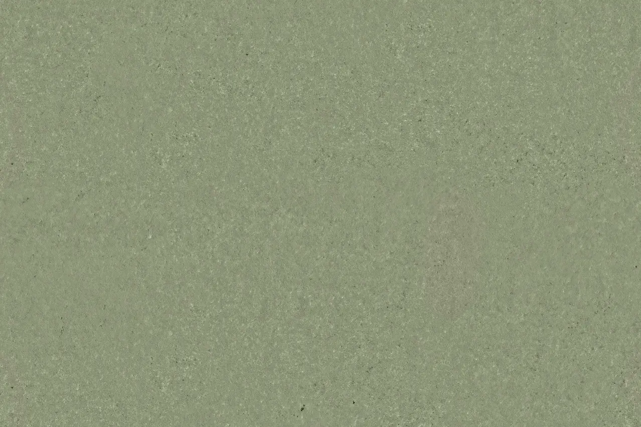 Oberfläche in Salvia Green, Farbton der Sto Interior Colors 24+, auf ökologischer Spachtelmasse