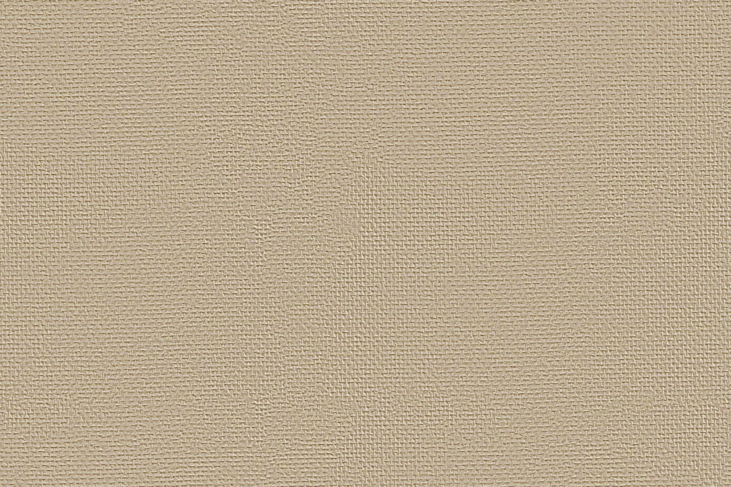 Oberfläche, gestaltet mit den Interior Colors 24+: Glasdekogewebe StoTex im Farbton White Pepper